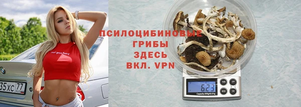 шишки Алексин