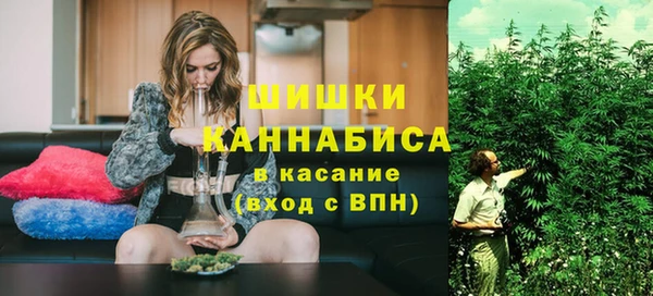 шишки Алексин