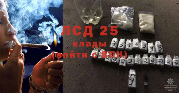 шишки Алексин